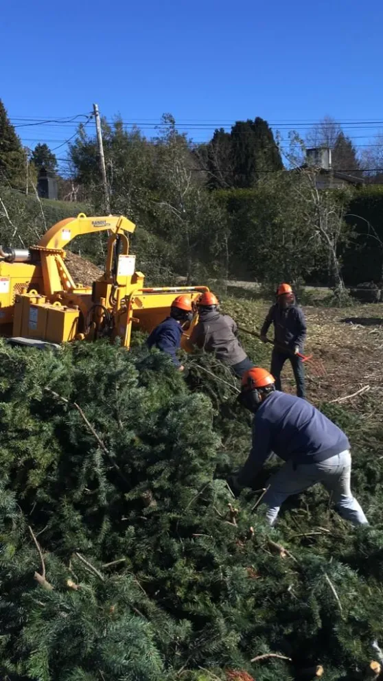 Continúan los trabajos de desmalezamiento en Jardín Botánico