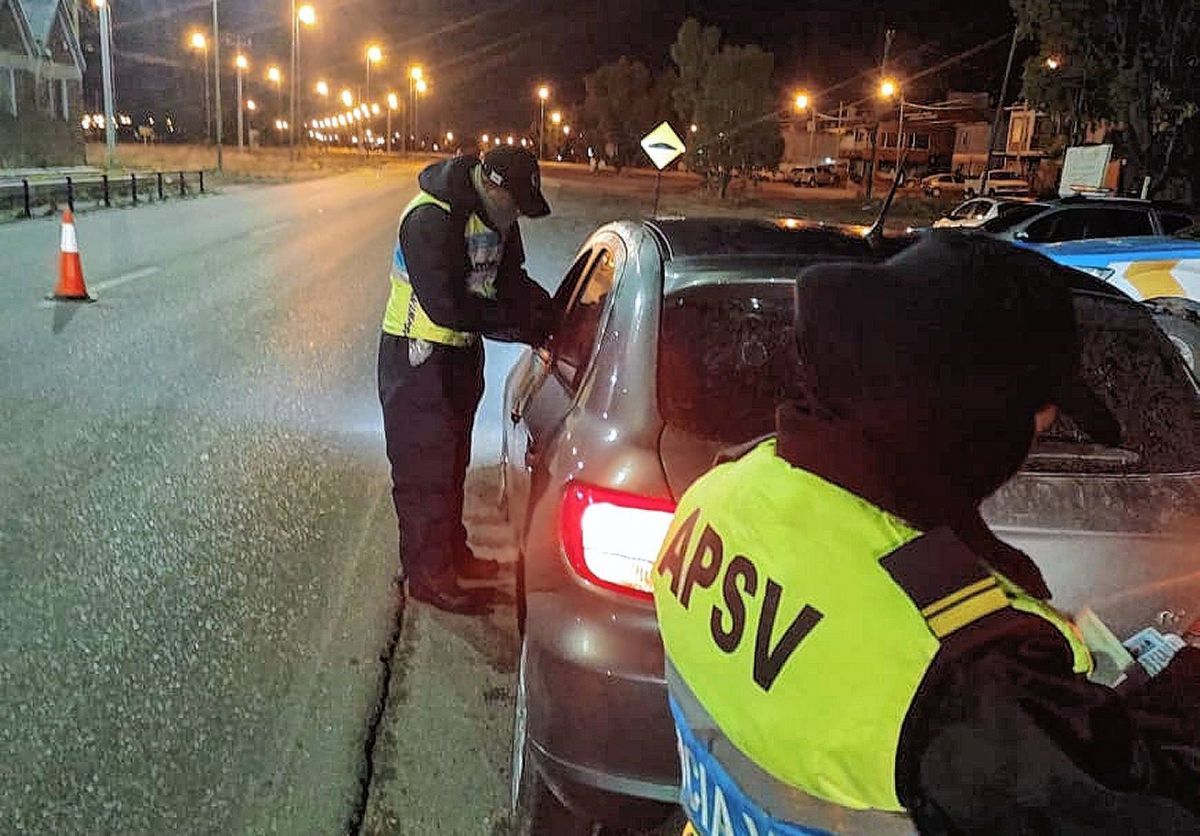 El Gobierno definió procedimientos en los controles vehiculares para proteger la integridad de los niños y adolescentes
