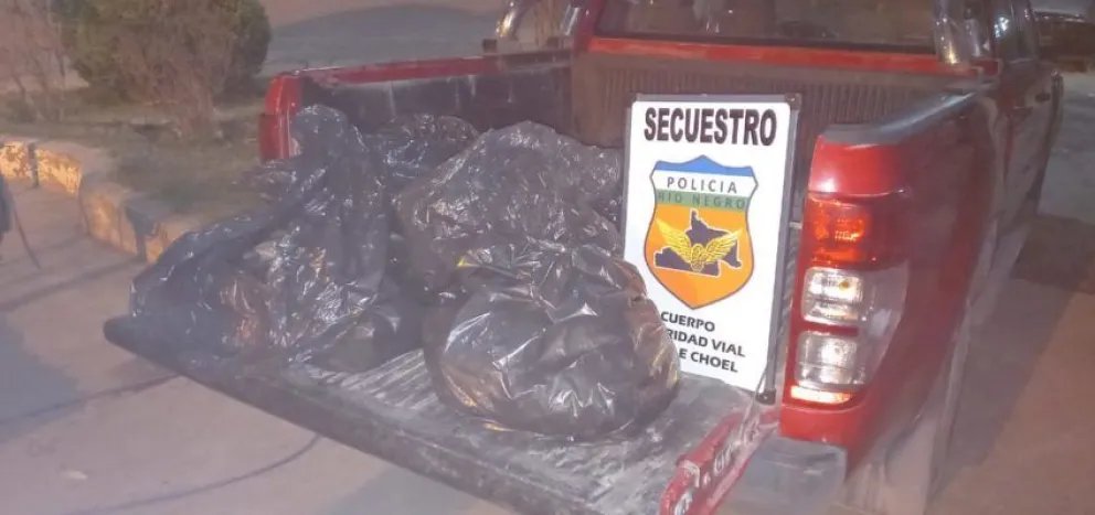 Chau paella: Llevaba 50 kilos de mariscos sin declarar, lo detuvo la policía y se los decomisó