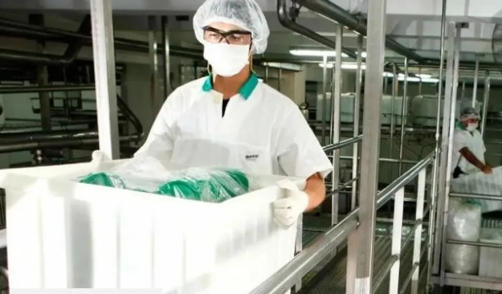 La Serenísima busca graduados y estudiantes: requisitos y cómo aplicar a las ofertas laborales 