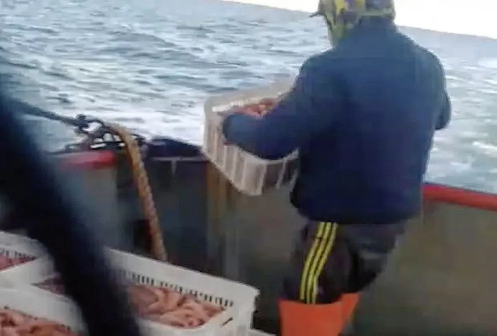Imágenes que duelen: Buque fresquero arroja varios cajones de colas de langostino al agua