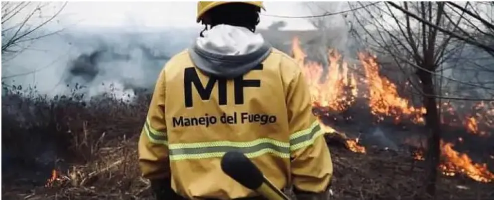 Brigadistas de la Comarca Andina se suman al combate de los incendios en el Delta del río Paraná