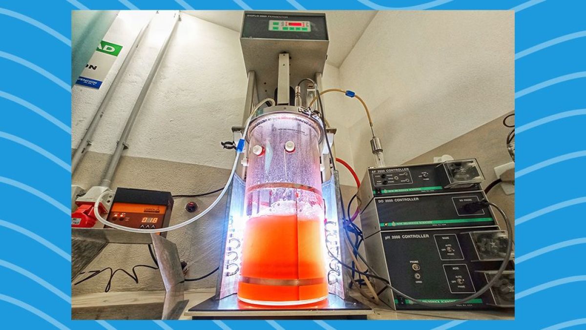 Se construirá la primera planta biotecnológica en Bariloche