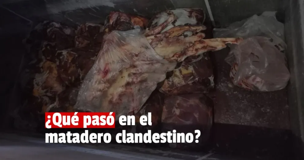 Se intervino un matadero clandestino de caballos y se investiga el origen de la mercadería