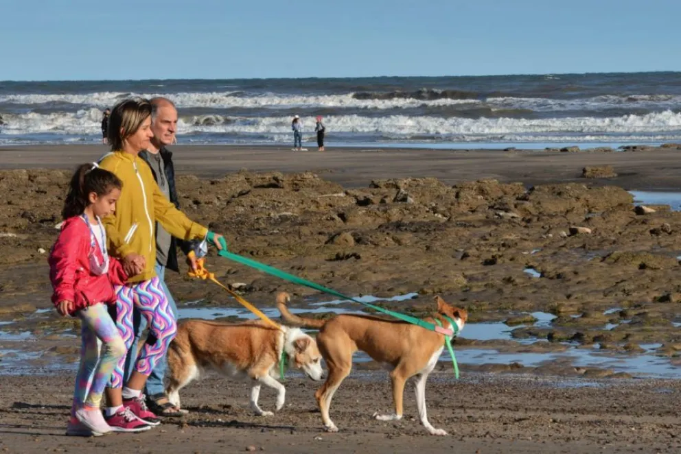 Las mascotas tendrán lugares exclusivos en la playa