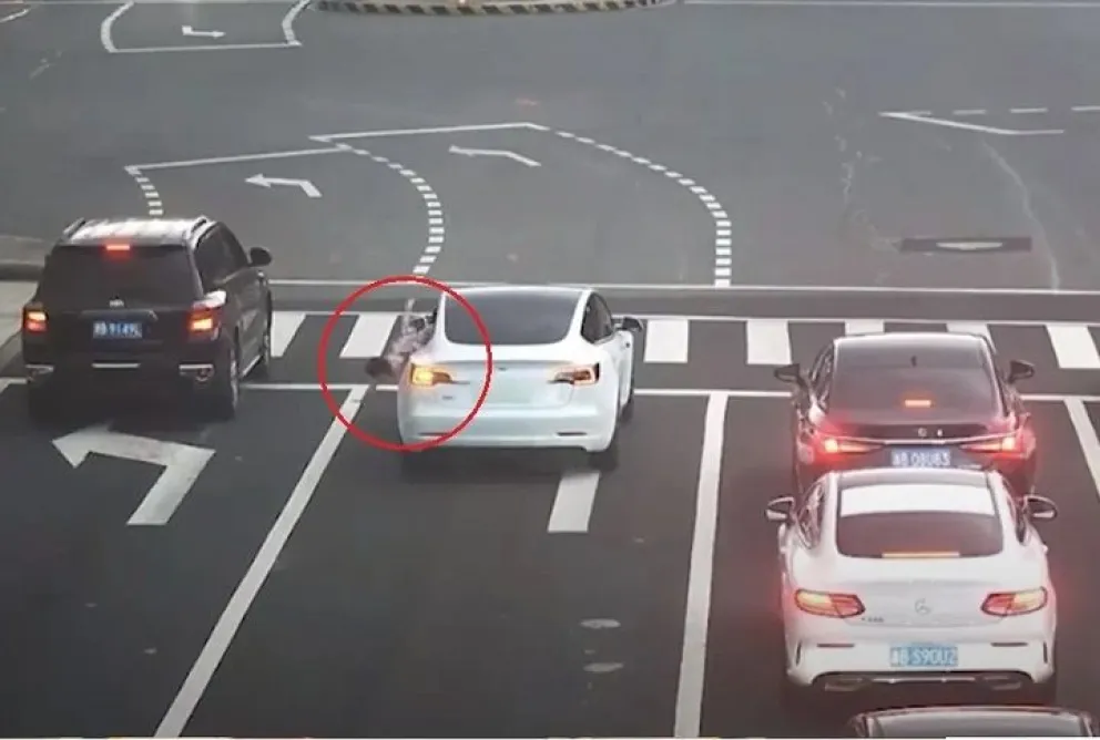 Video: una nena cayó por la ventanilla del auto y sus padres siguieron marcha sin notarlo