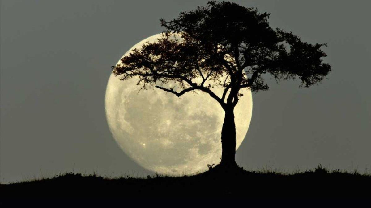 Cuándo y dónde se podrá ver la última Superluna del año