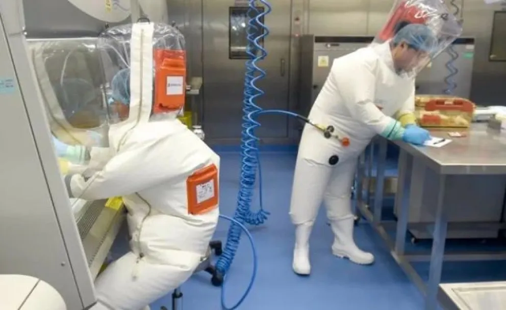 Alerta en China y el mundo: descubren un nuevo virus de origen animal que infecta a humanos 
