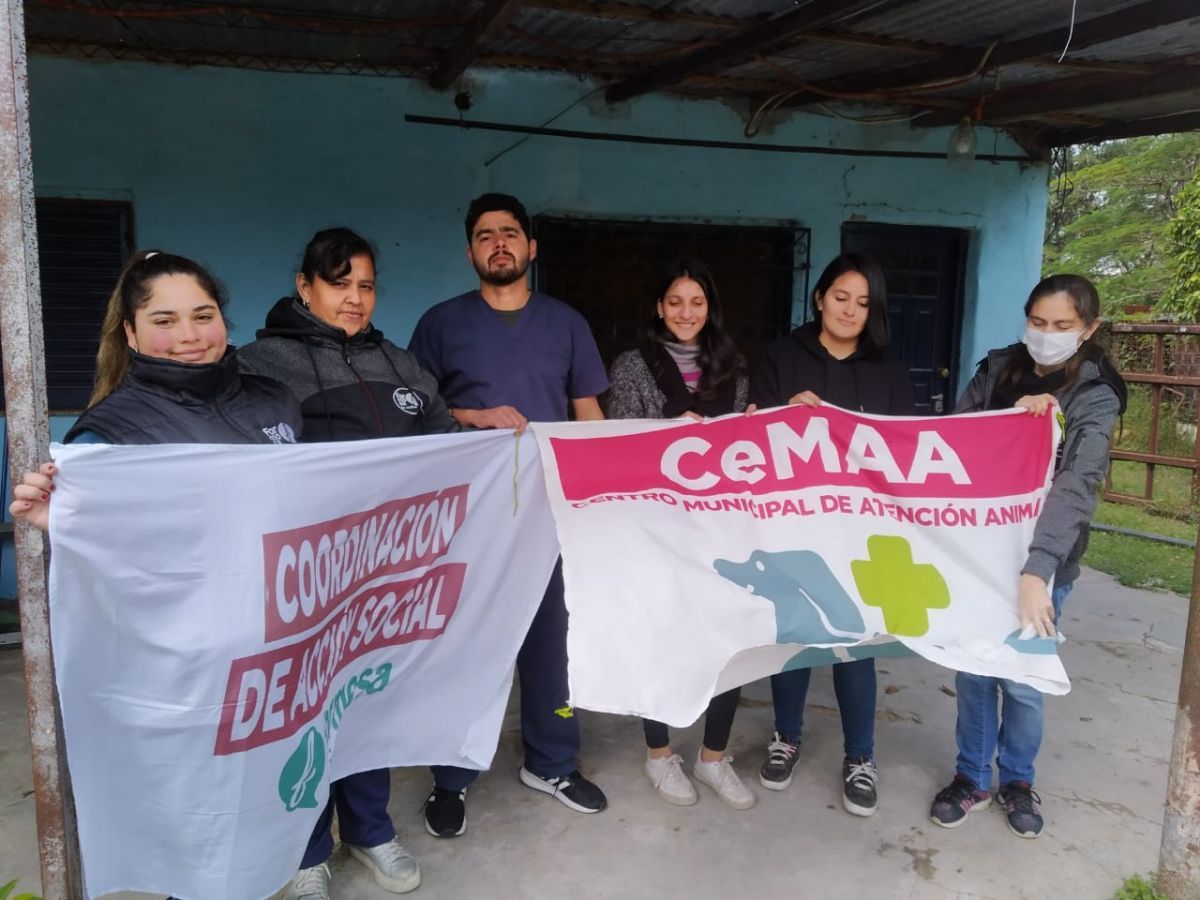 Se realizó operativo de castración por acumulación en Villa del Carmen
