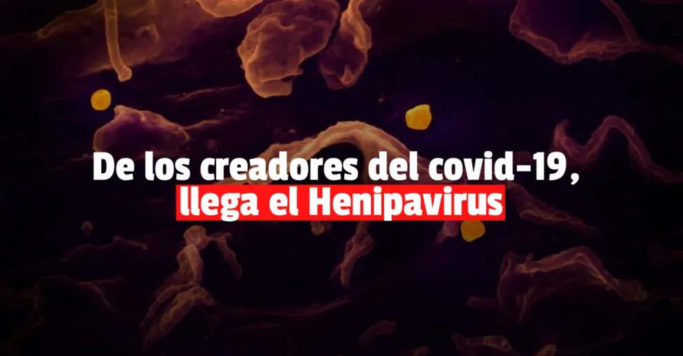Detectaron otro virus en China y ya hay 35 aislados 