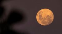 Atención fanáticos de la astronomía: esta noche se podrá ver la última Superluna del año
