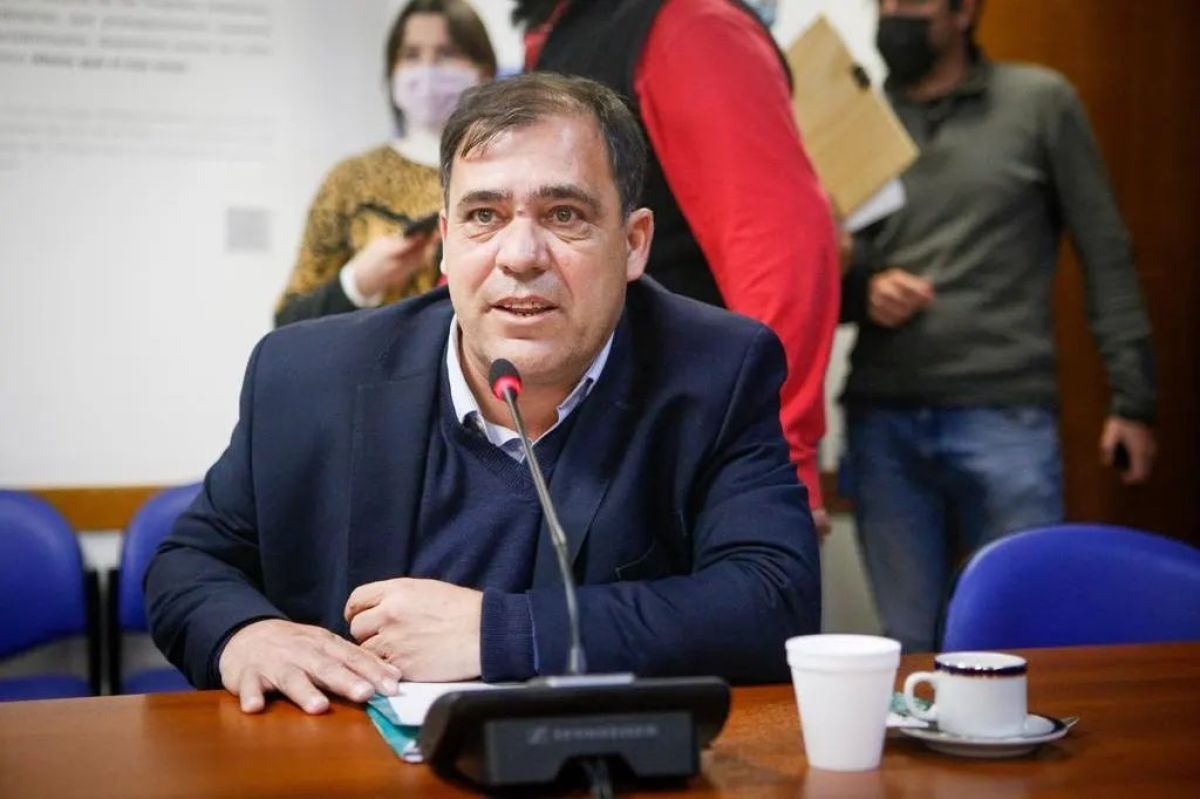 Cabandié pidió la renuncia del titular de Parques Nacionales por haber declarado sitio sagrado mapuche al volcán Lanín