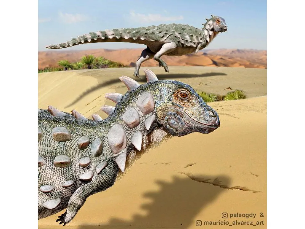 Descubren el primer fósil de acorazado bípedo de Sudamérica