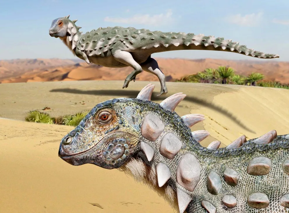 Descubren en Río Negro el primer fósil de otro dinosaurio que parece un acorazado bípedo