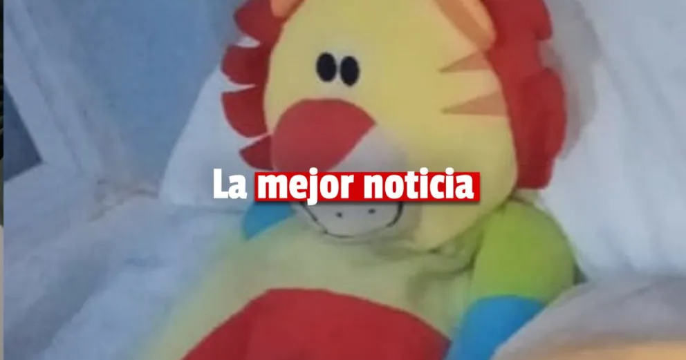 Apareció Guagua después de una intensa búsqueda