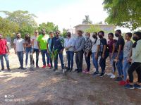 Con mucho entusiasmo realizan Segunda jornada de arborización en Villa Juárez