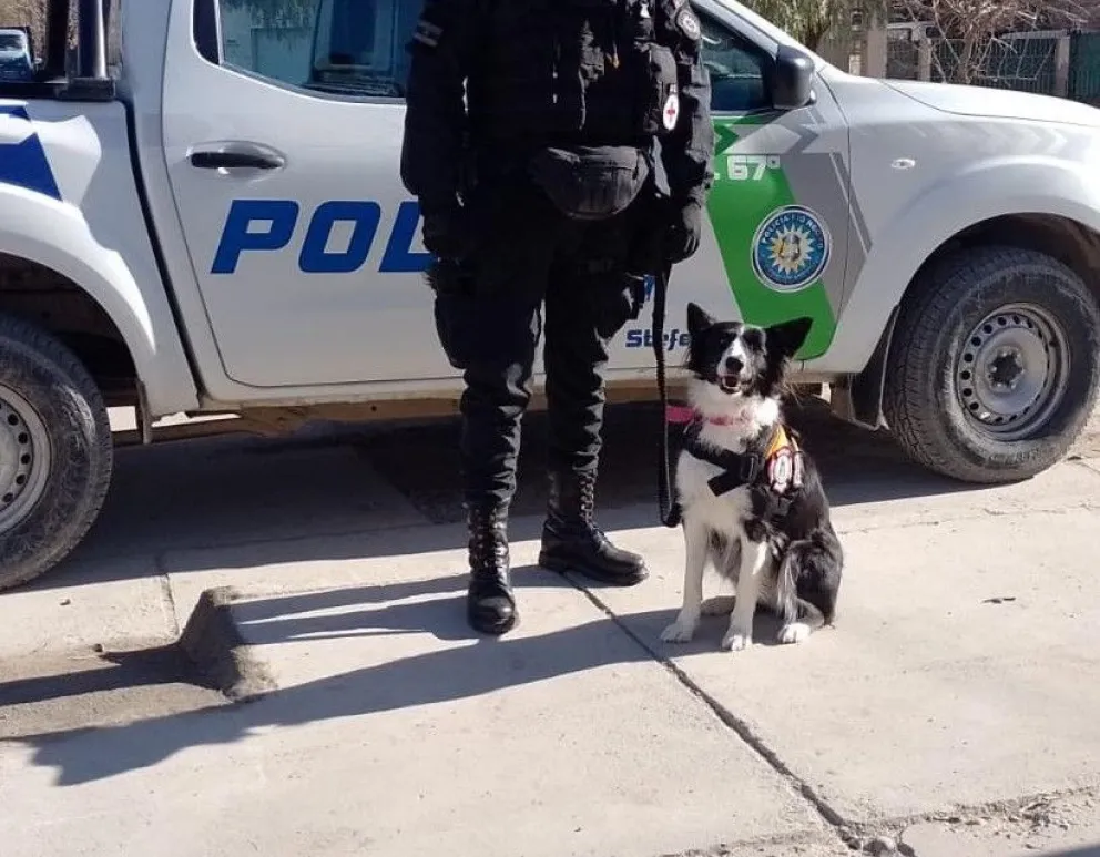 La perrita Lulú se suma a la Policía de Río Negro: ¿Que tareas va a desempeñar?
