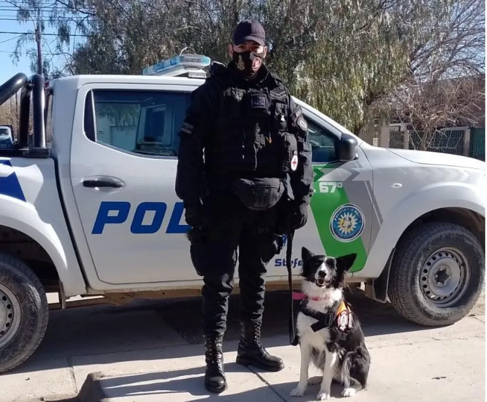 “Lulú”, la perra rionegrina que detectará artefactos explosivos