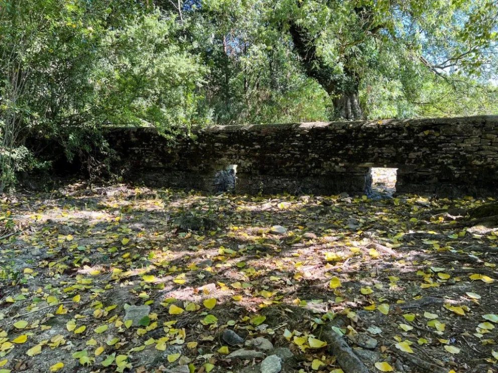 Reino Unido: el nacimiento del río Támesis se vuelve más seco