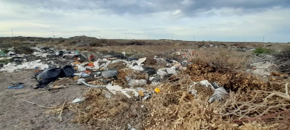 Preparan un inusual y amplio operativo ambiental en el río Negro y El Cóndor