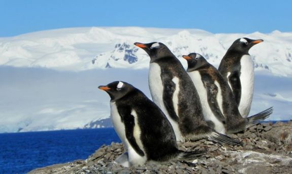 Aseguran que las plataformas de hielo de la Antártida se derriten más rápido
