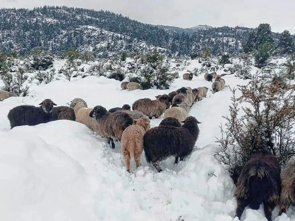 Amplios operativos para “la gran nevada” en casi toda la cordillera