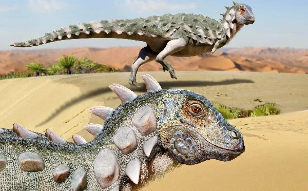 Descubren cerca de Cerro Policía el primer dinosaurio acorazado de dos patas de Sudamérica