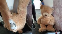 Insólito: robó un auto y se escondió adentro de un oso de peluche para escapar de la policía