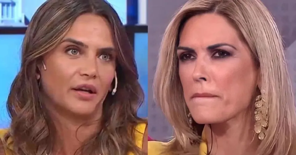 Amalia Granata dio detalles de cómo está Viviana Canosa tras el escándalo de América