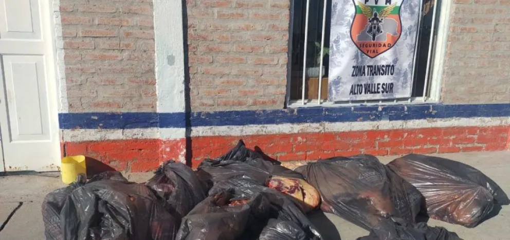 Decomisan un novillo y tres corderos en diferentes controles sobre Ruta 22