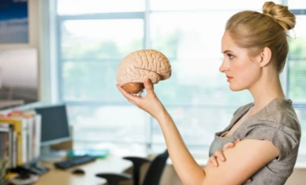 Cuáles son los cuatro alimentos que comemos todos los días y dañan el cerebro