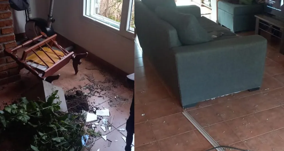 Robo en el 14 de Marzo: se conoció la identidad del delincuente