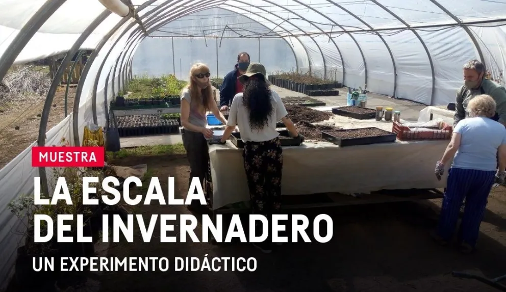 Una muestra en la que se puede armar un invernadero a escala