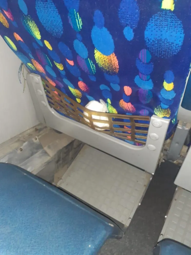 Encontraron a un hombre intentando traficar cocaína en Las Lajitas