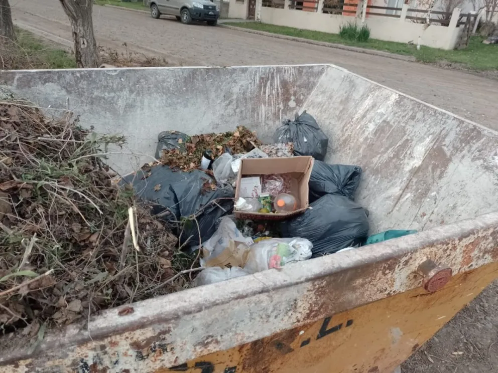 Por mal uso: el Municipio retirará los volquetes para ramas y escombros de El Cóndor 