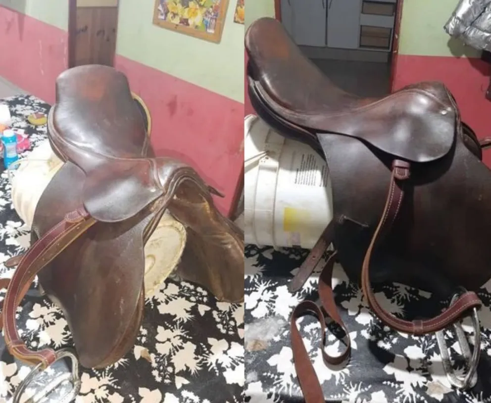 Le robaron una montura a un conocido vecino de la Comarca: estaría en poder de un pastor 