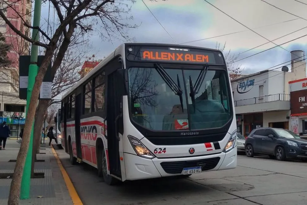 Repudiable: atacaron a piedrazos un colectivo y una mujer terminó en el hospital