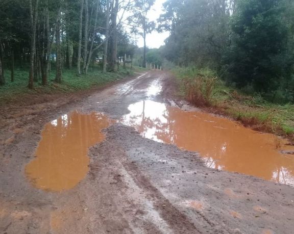 Iguazú: proyectan la reparación de los caminos terrados de las 2.000 hectáreas