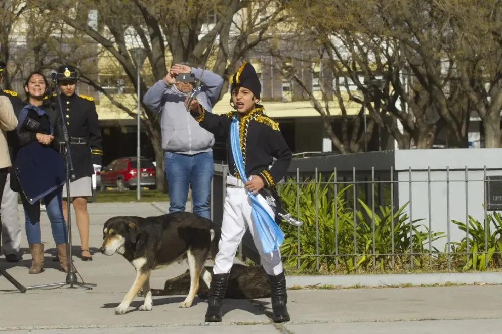 El pequeño San Martín que conmovió a los viedmenses