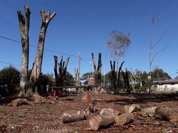 Inusual poda de árboles en Campo Viera despertó el repudio de los vecinos