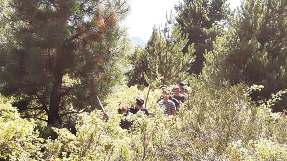 Las misteriosas desapariciones de El Maitén: ¿Asesinatos o accidentes?