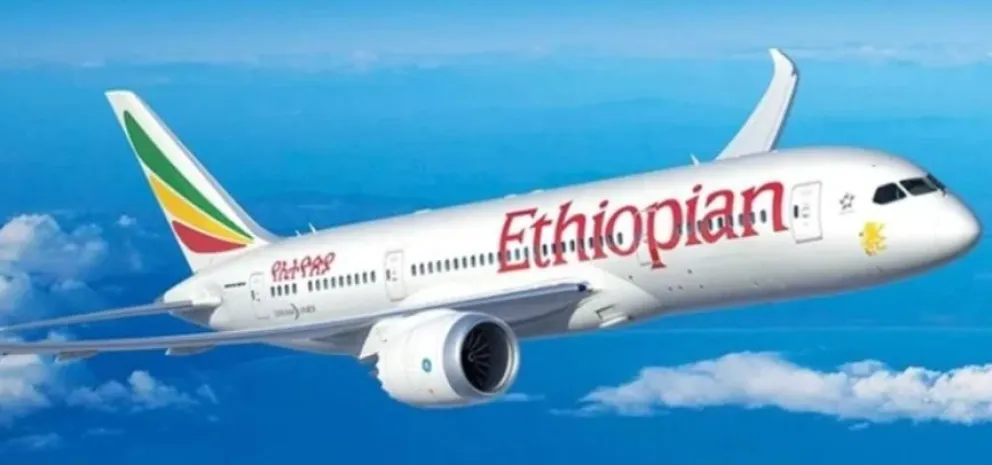 Un vuelo tuvo demoras por esta increíble razón