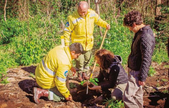 Salto Encantado: se inició el trabajo para restaurar la selva