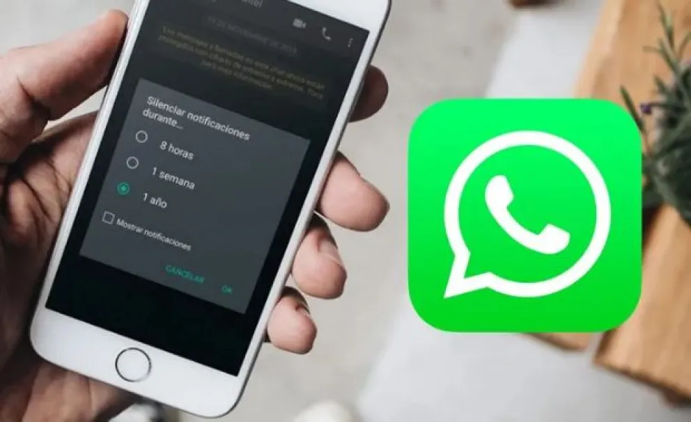 ¡No quieren leerte! Cómo saber si un contacto te silenció en WhatsApp