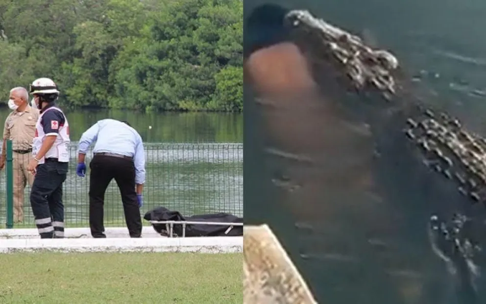 Impactante video: un cocodrilo mató a un hombre que estaba nadando en la Laguna del Carpintero