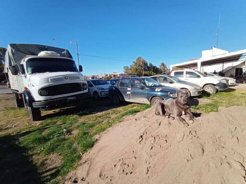Secuestros y retenciones de vehículos en Viedma: diferencias y estadísticas que preocupan