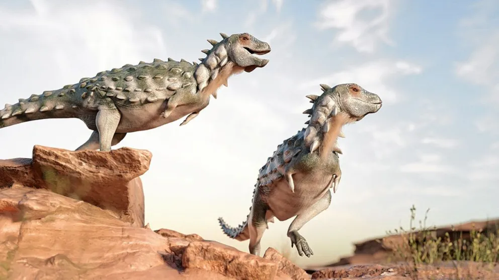 Hallan en la Patagonia el primer dinosaurio  bípedo y acorazado de Sudamérica   