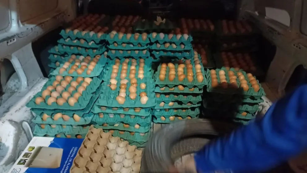 Transitaban de forma clandestina con 2280 huevos y 120 kilos de carne de caballo 