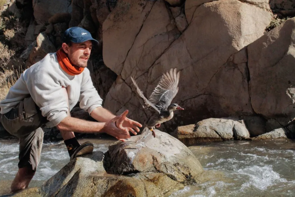 Doctorado en Biología de la UNCo Bariloche, acreditado con la máxima categoría en la CONEAU