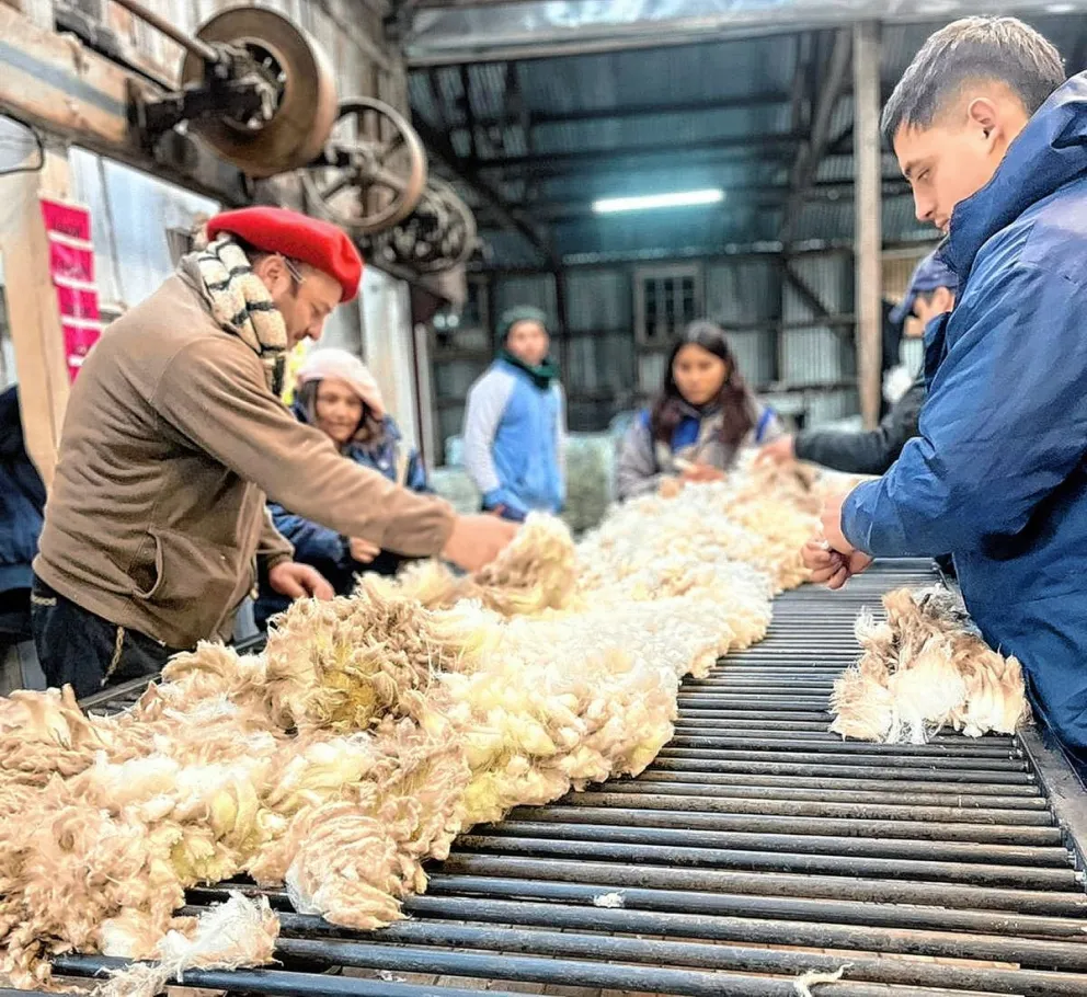 El Gobierno de Chubut supervisa zafra de esquila en la provincia